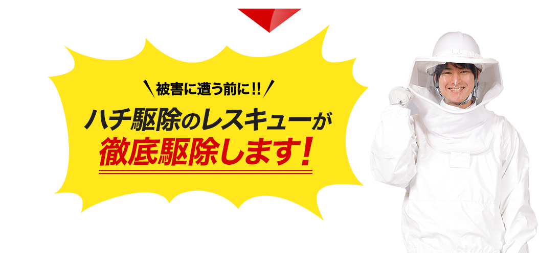 被害に遭う前に！ハチ駆除のレスキューが徹底駆除します！