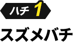 ハチ1 スズメバチ