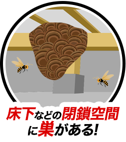 床下などの閉鎖空間に巣がある！
