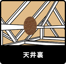 天井裏