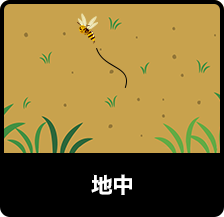 地中