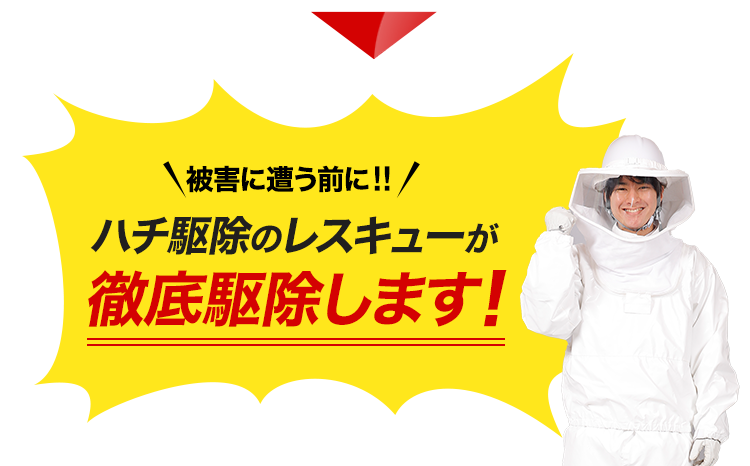 被害に遭う前に！ハチ駆除のレスキューが徹底駆除します！
