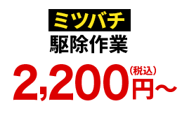ミツバチ駆除作業2,200円