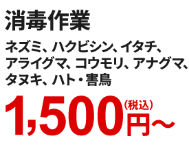 アシナガバチ駆除作業2,200円