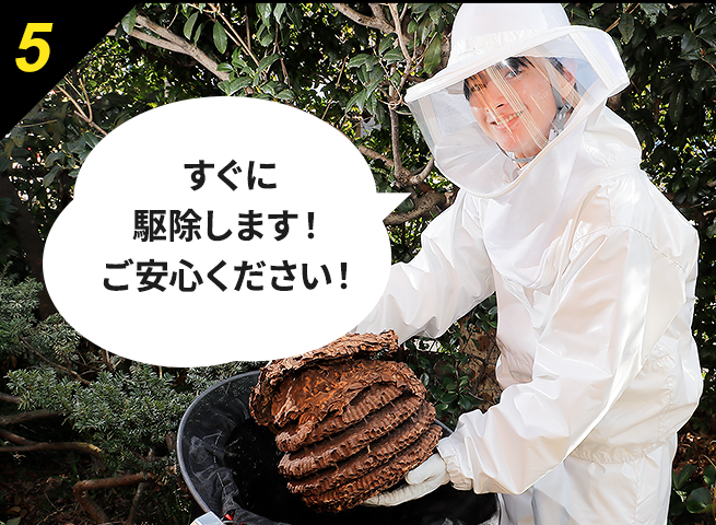 5 ハチ駆除の作業