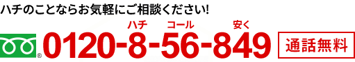 ハチのことならお気軽にご相談ください　0120-8-56-849